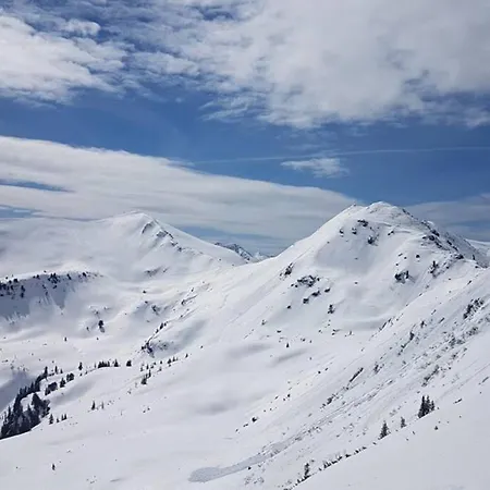 Apartment Penthouse Hechelstein - Top 106 Tauplitz