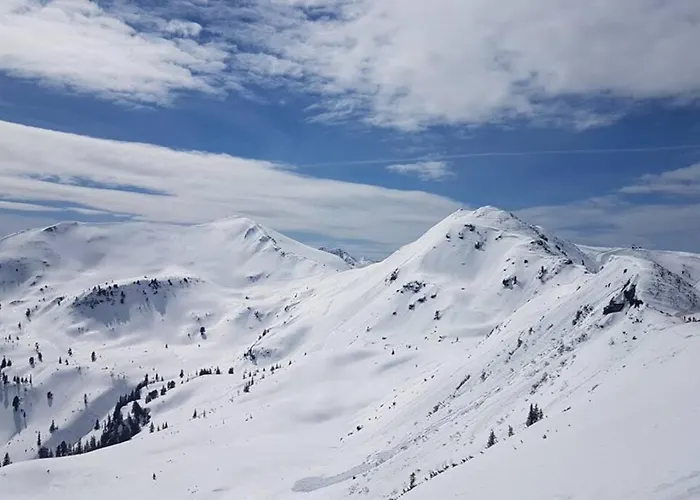 Apartment Penthouse Hechelstein - Top 106 Tauplitz