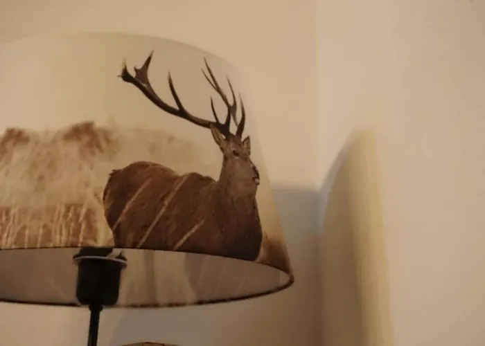 Apartment Penthouse Hechelstein - Top 106 *