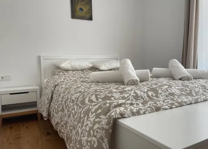 Penthouse Hechelstein - Top 106 Apartment *