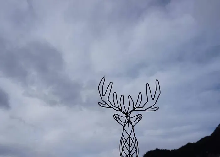 Penthouse Hechelstein - Top 106 Apartment *